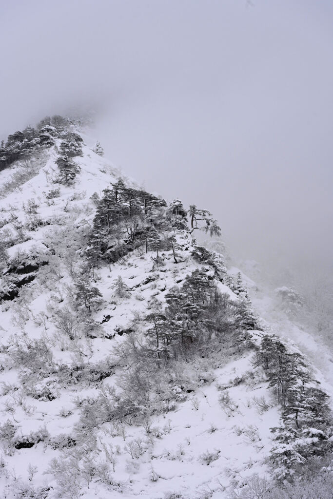 雪の山風景