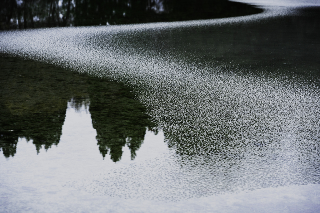 冬の水面
