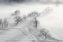 霧と雪原の風景
