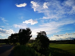 青い空