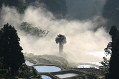 谷間の霧