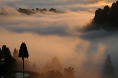 霧の朝