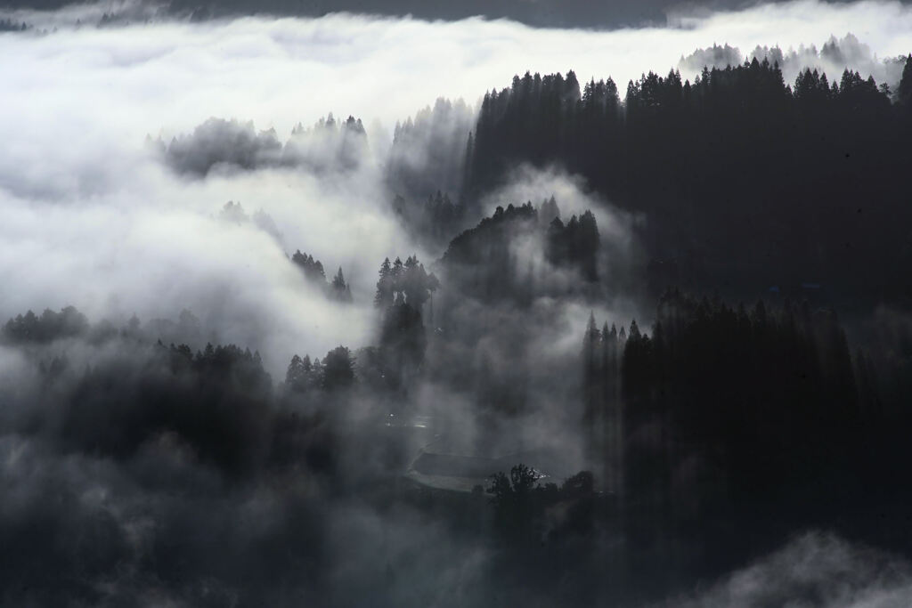 種苧原霧景