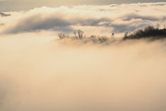 雲海の波