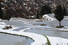 初冬の山古志