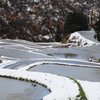 初冬の山古志