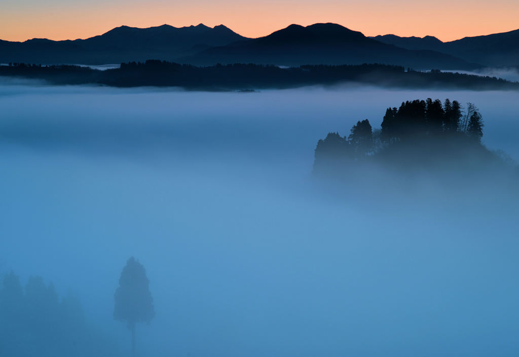 森の島