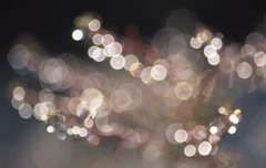 雨上がりのご褒美
