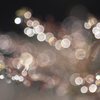 雨上がりのご褒美