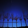 青い夜
