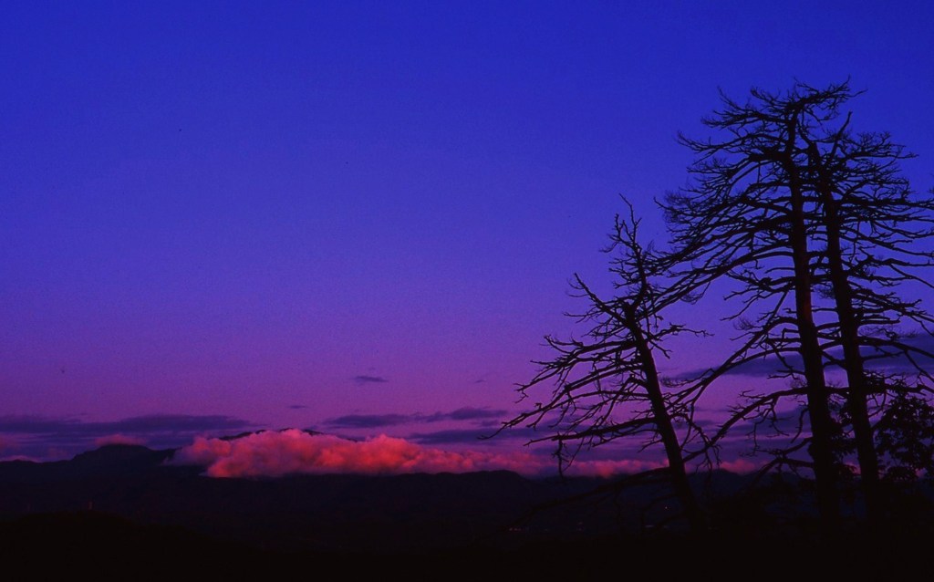 染まる雲