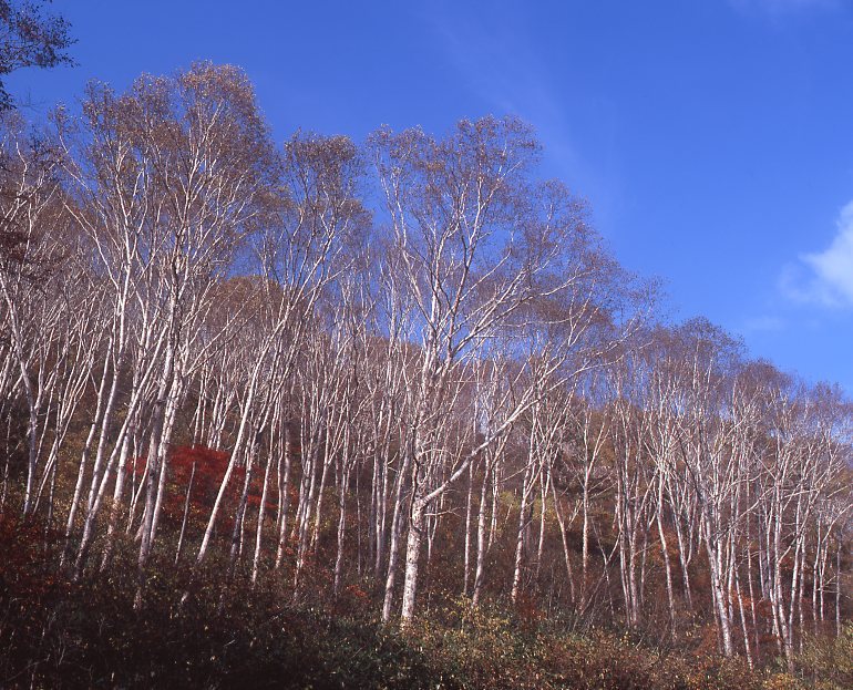 爽やかな空