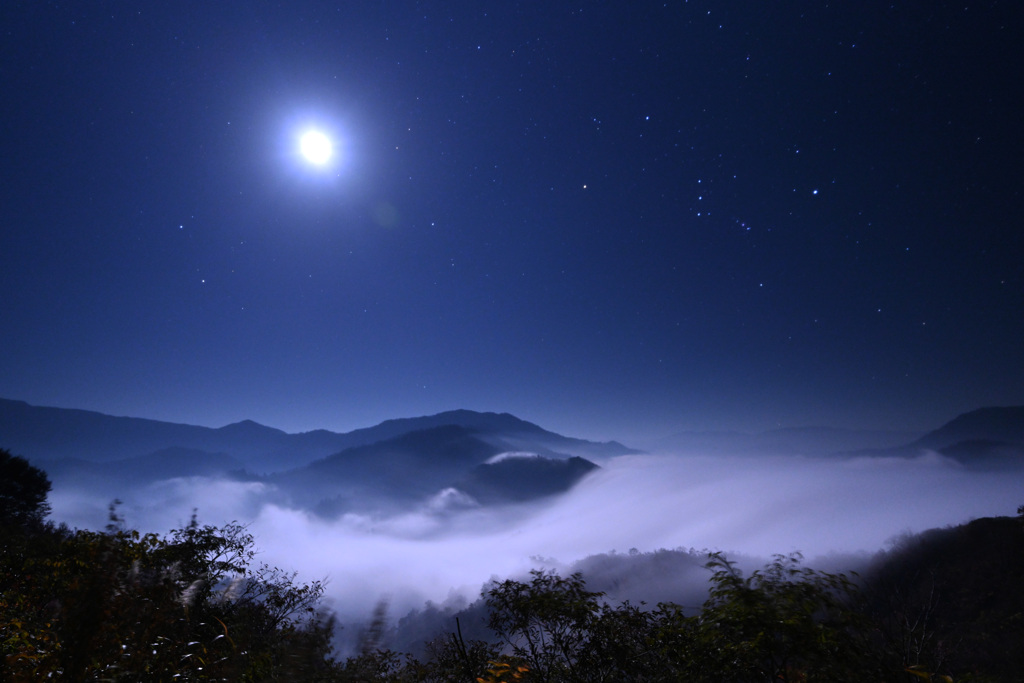 つきあかりの滝雲