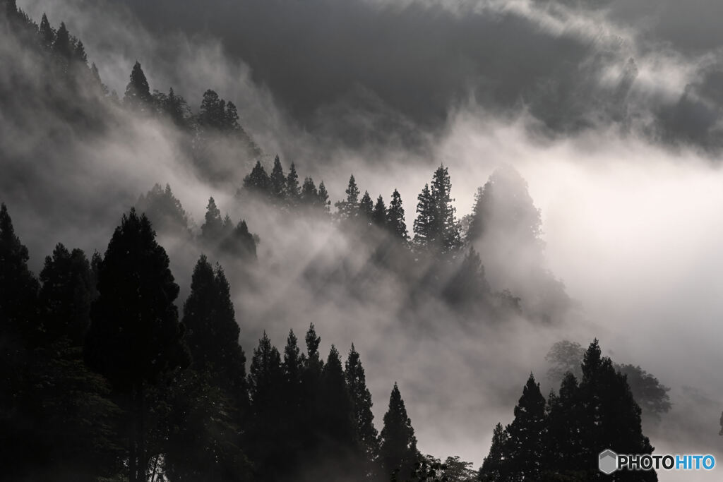 霧景
