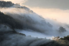 霧の谷