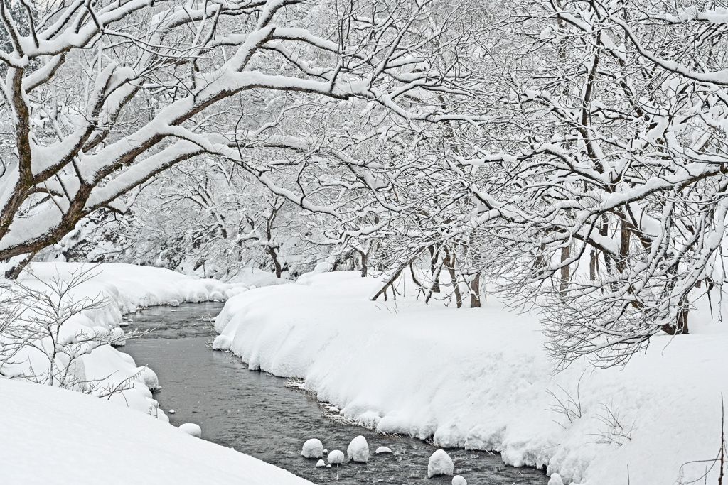 雪の里山