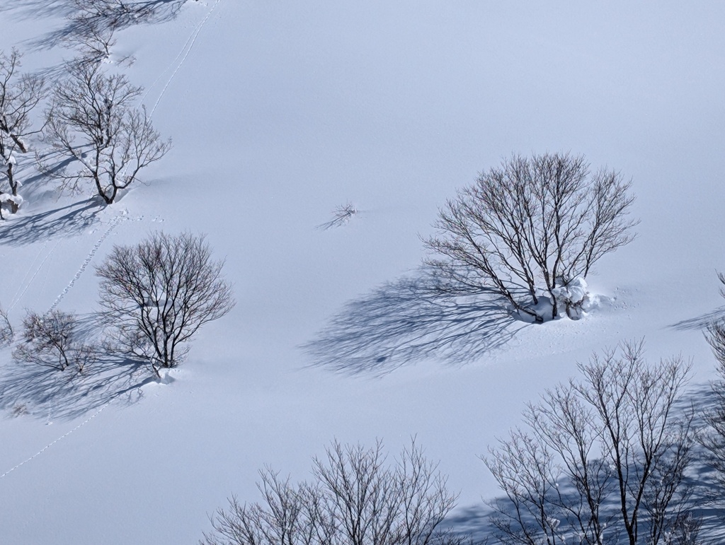 雪の風景