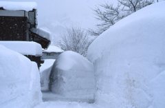 雪の回廊