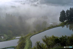 霧湧く里山