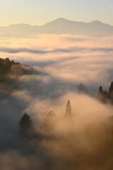 薄紅色の雲海 薄紅色の雲海