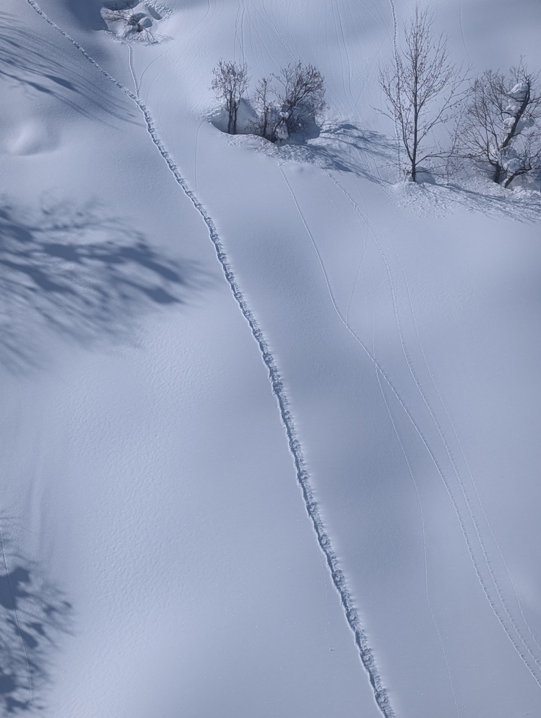 新雪と跡