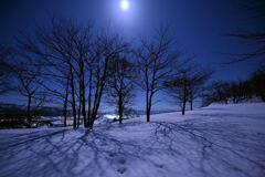 月光欲の雪原