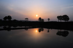 今日の夕日