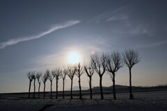 池ケ原の稲架木