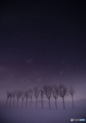 チョット霧が出た星景