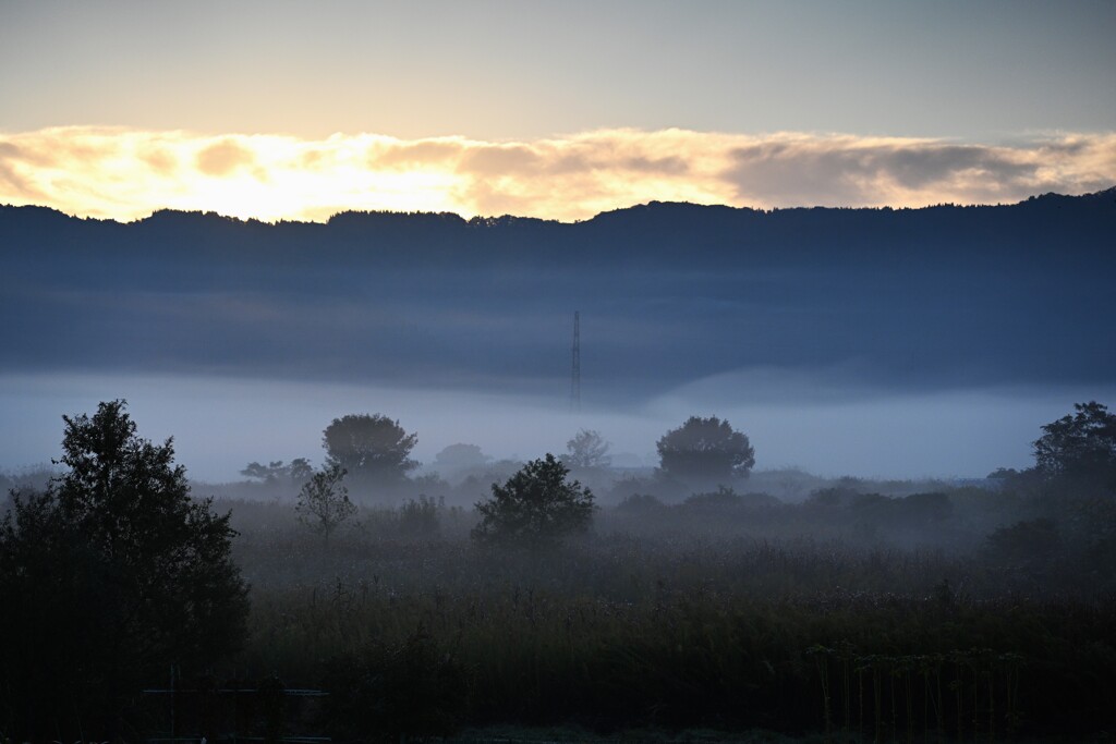 霧の風景