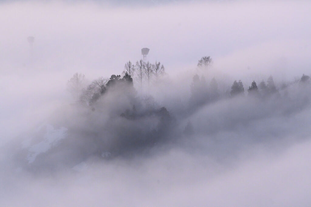 濃霧の朝