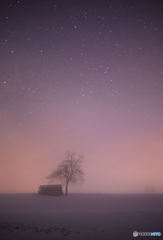 霧の星空