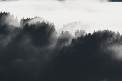 白と黒の風景