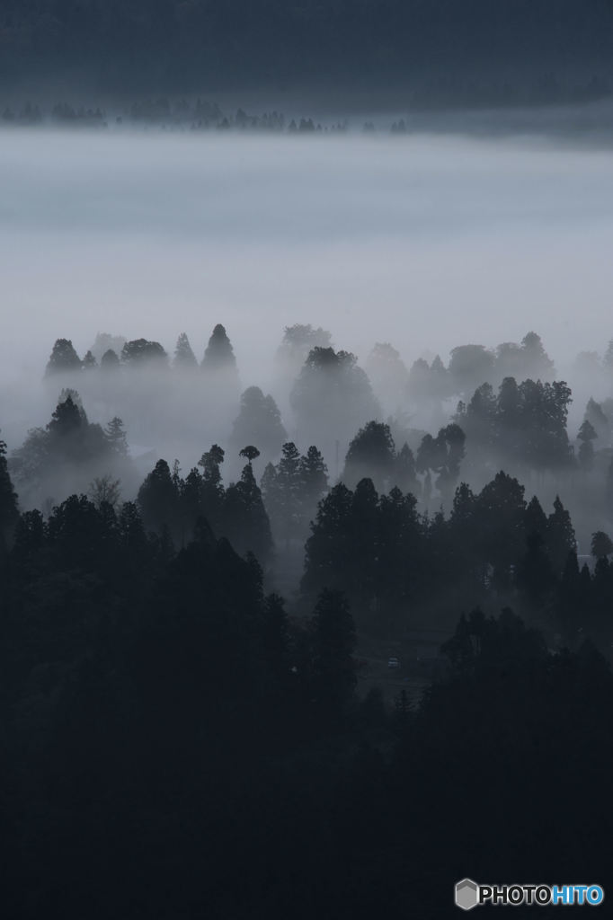 朝霧の中
