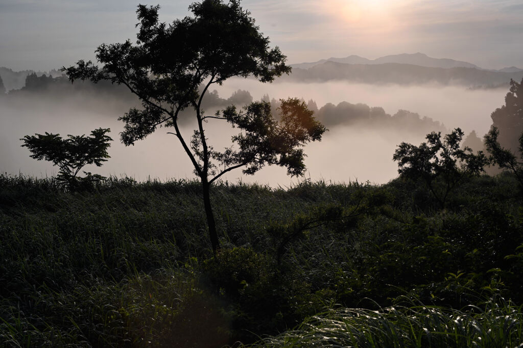 山古志の雲海