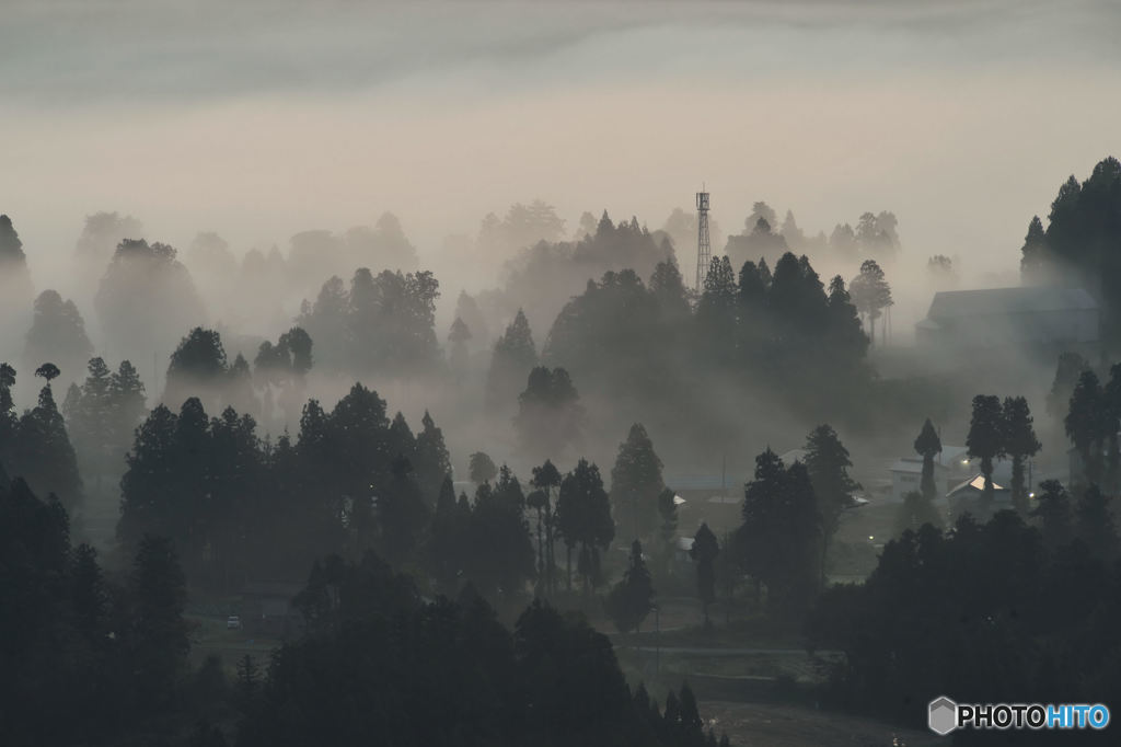 種苧原霧景