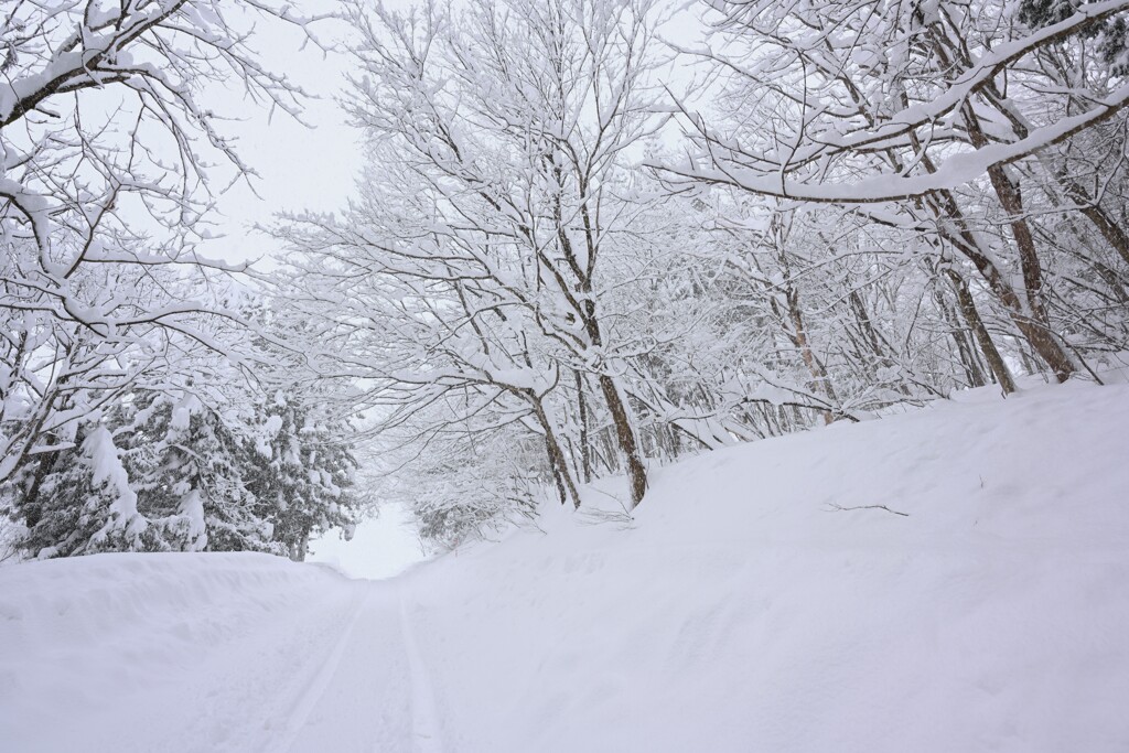 雪の峠道