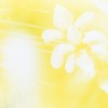 光・心像画