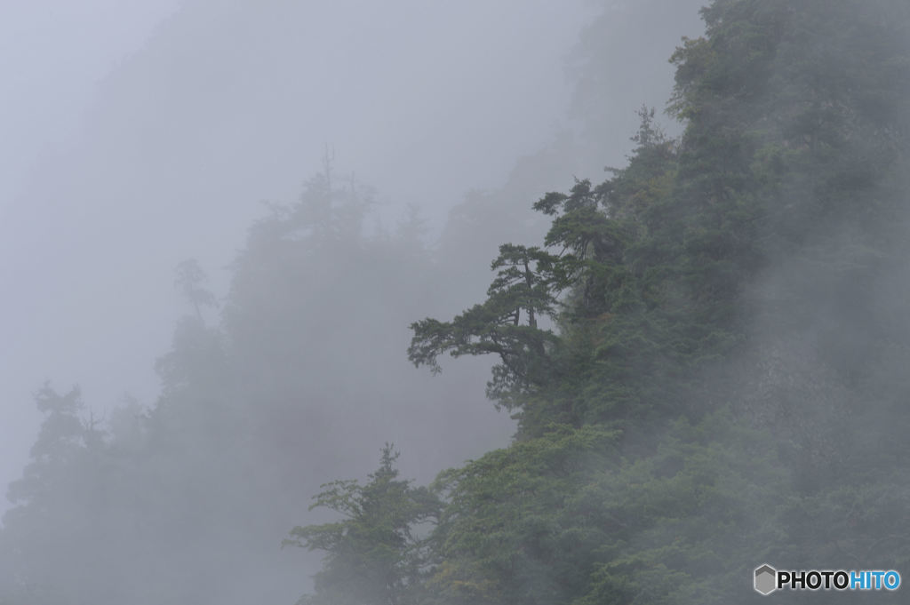 霧の風景