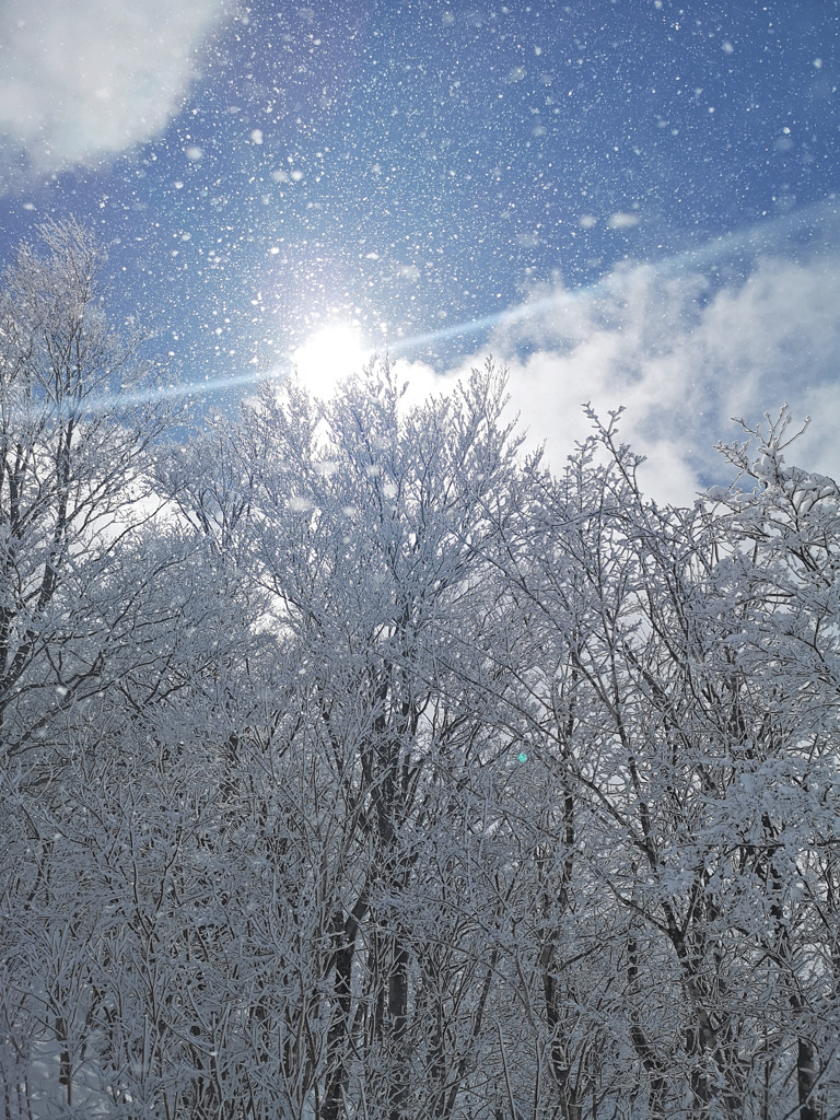 雪は天から