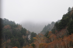 霧の奥山