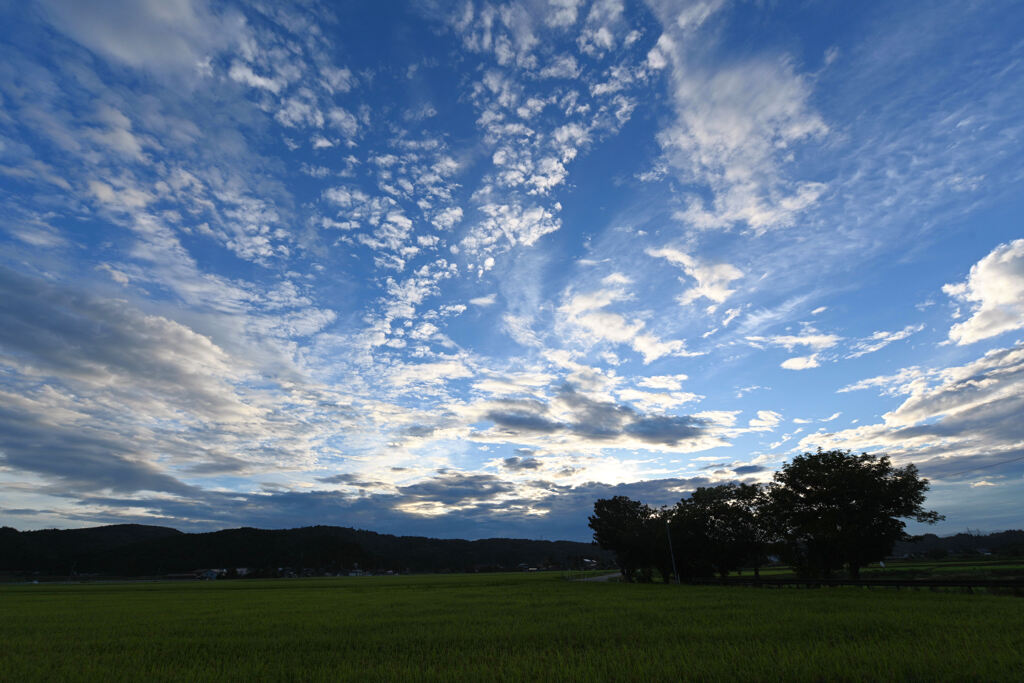 雲の輝き