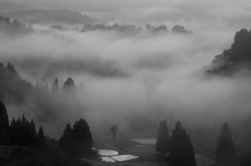 静かな時の流れ