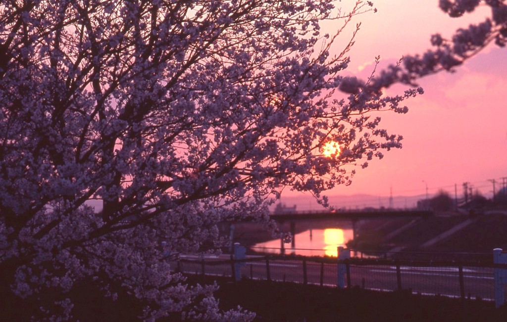 夕暮れの頃