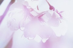朝の印象