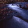 晩秋の渓流