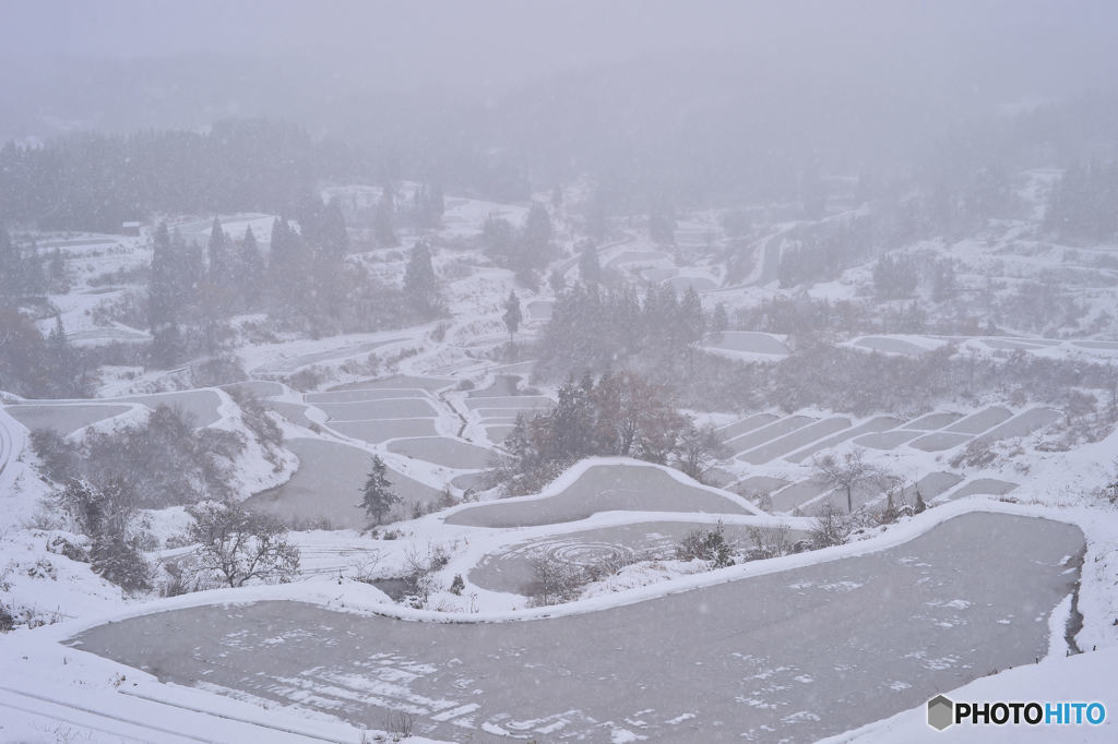 初雪の棚田