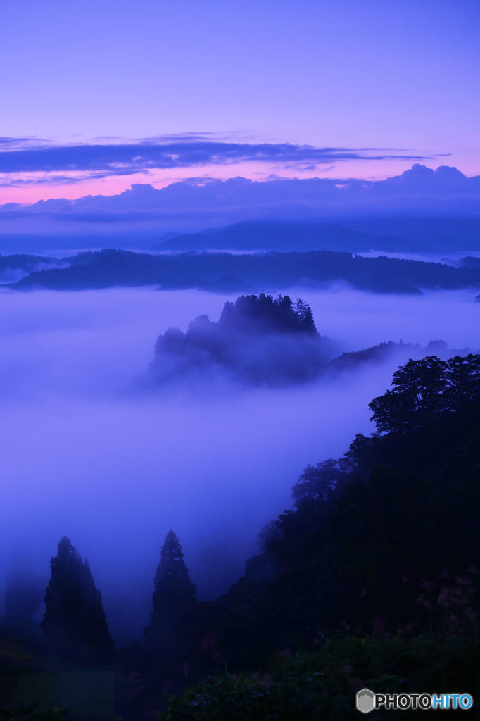 霧の海