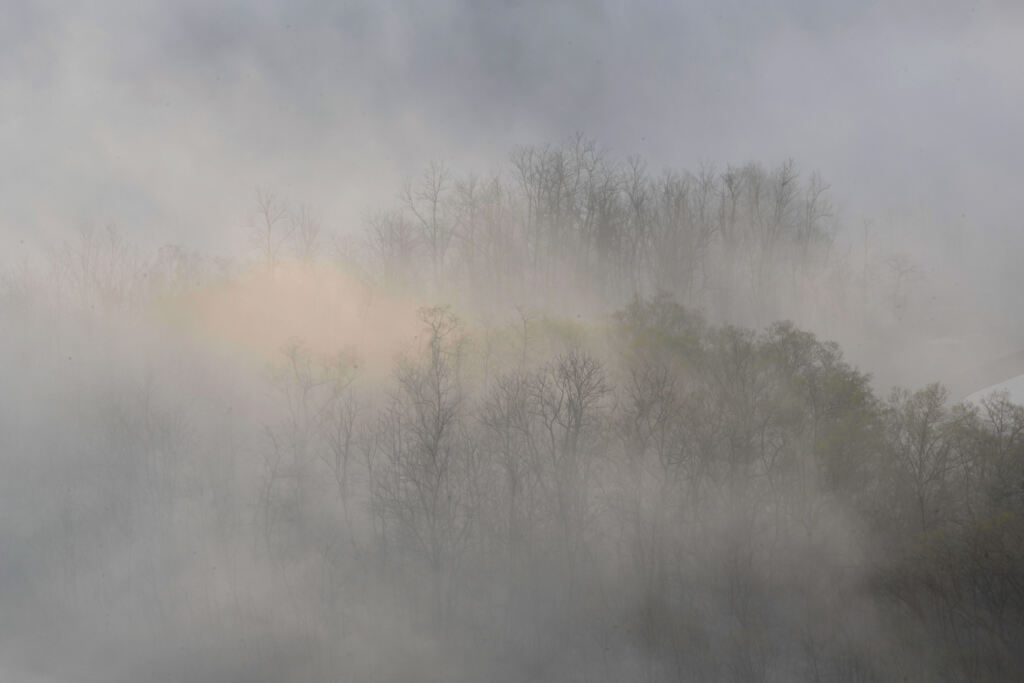朝霧の風景