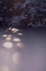 朝の印象